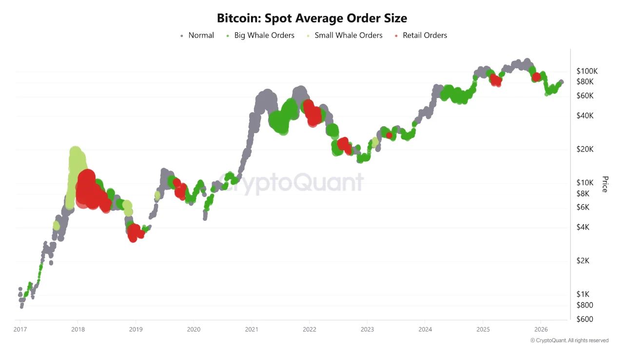 Bitcoin: Spot Average Order Size | Source: CryptoQuant