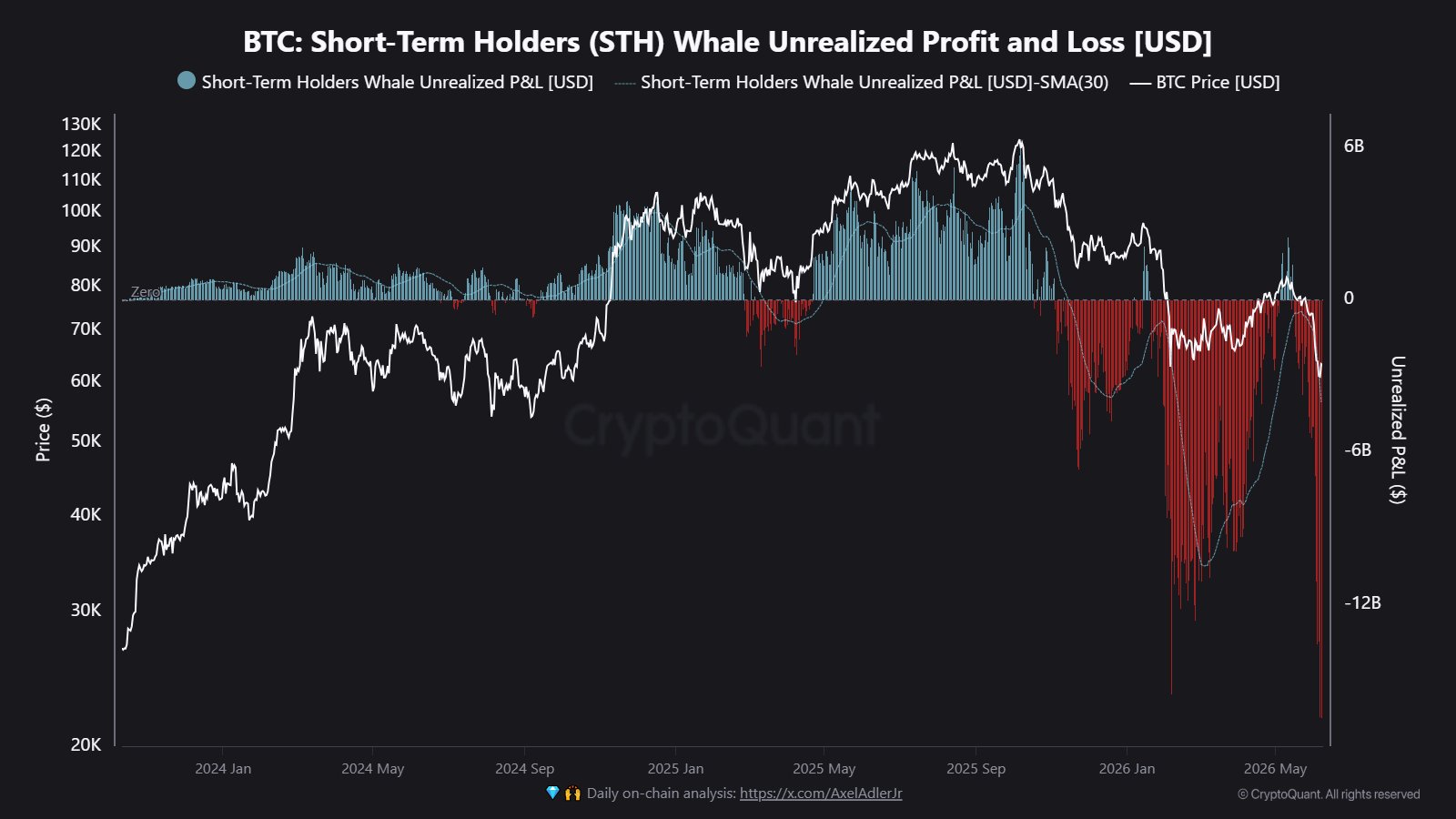 Bitcoin STH Whale Profit