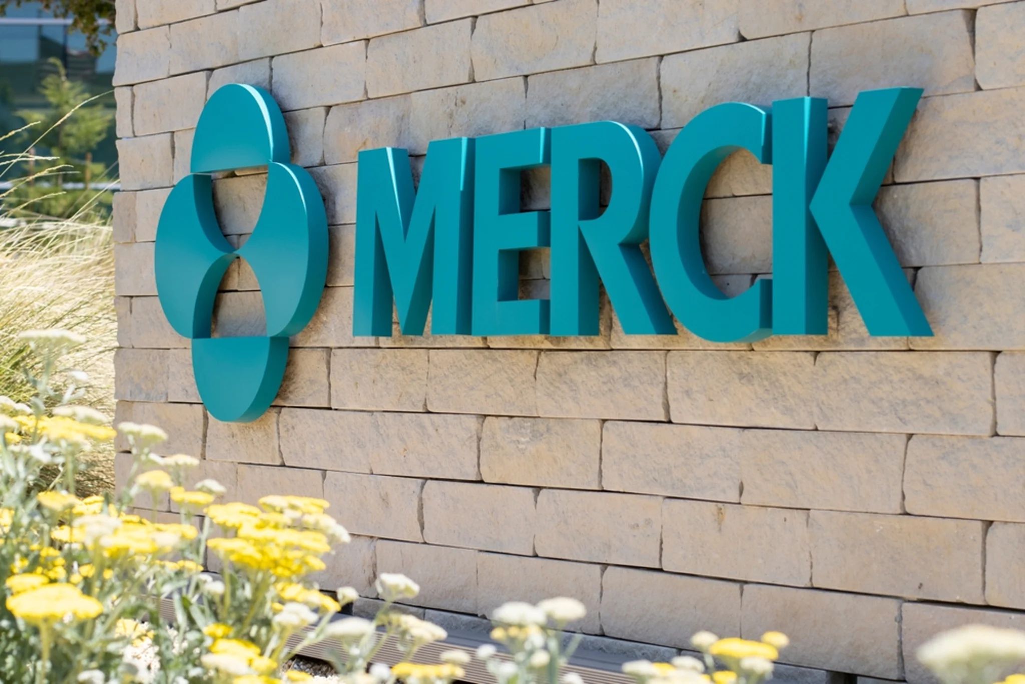 Qu'est-ce qui se passe avec l'action de Merck mardi ? | Benzinga France