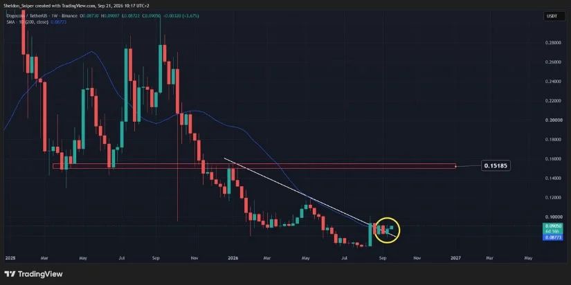 DOGE Breaks Weekly Trendline and Challenges 200MA