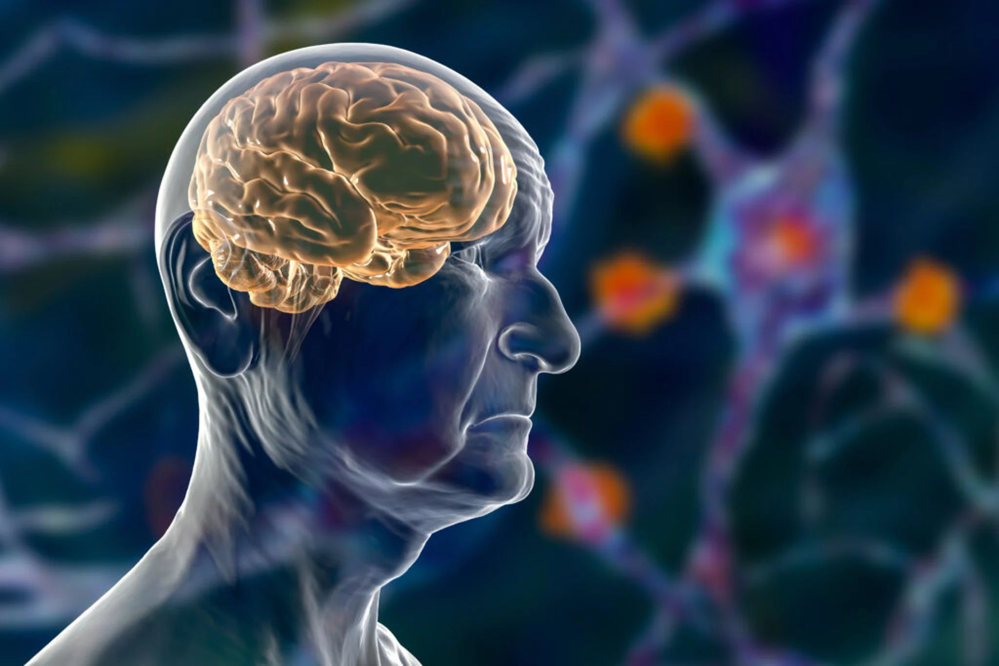 Anavex Life cible le médicament principal contre la cause précoce de la maladie d'Alzheimer - Nouvelle étude mettant en lumière | Benzinga France