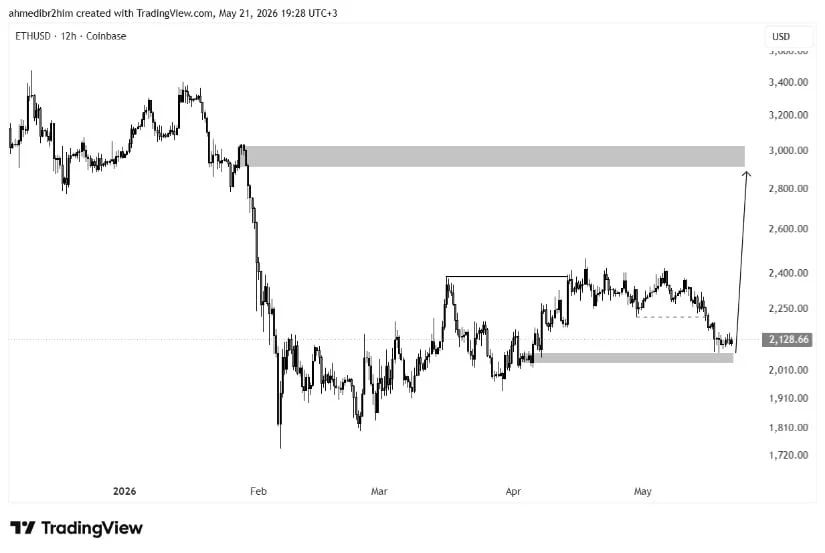 Whale Accumulation Adds a Bullish Counterpoint
