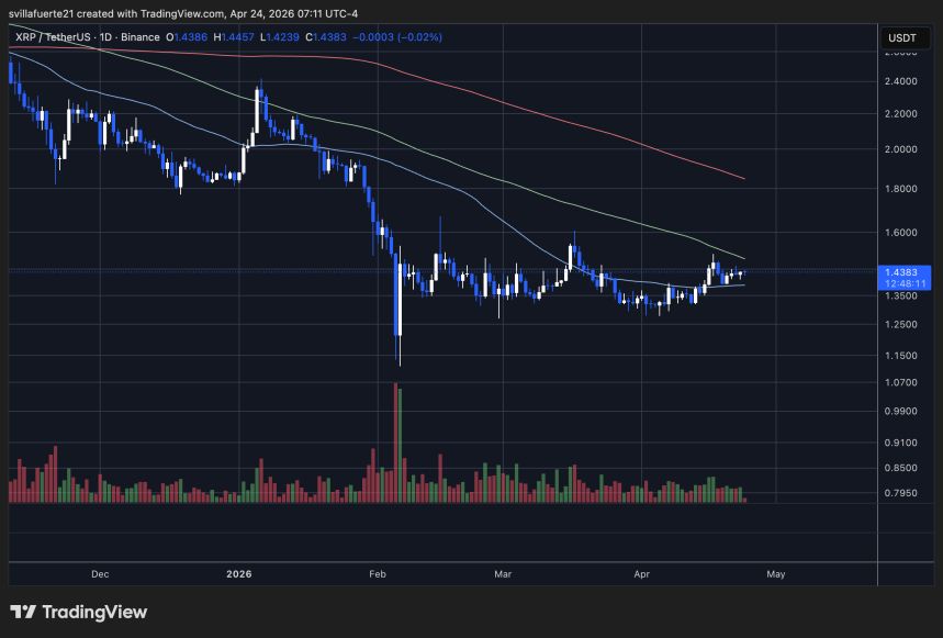 XRP se consolida por encima de $1.40 | Source: XRPUSDT chart on TradingView