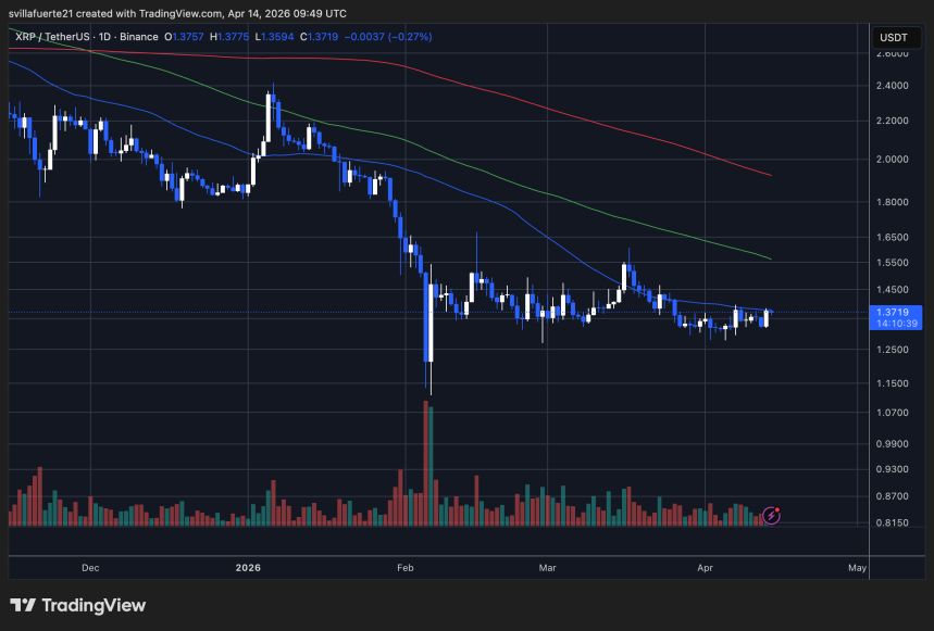 XRP price testing the 50-day MA | Source: XRPUSDT chart on TradingView