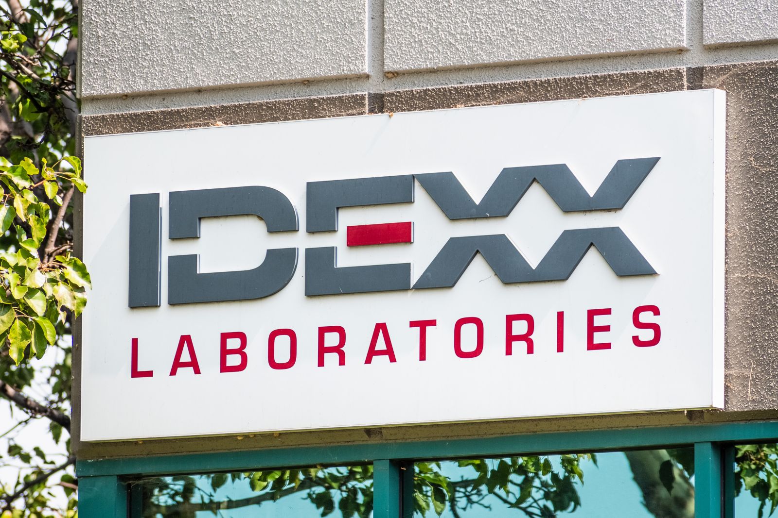 Are Wall Street Analysts Predicting IDEXX Laboratories Stock Will Climb or Sink?