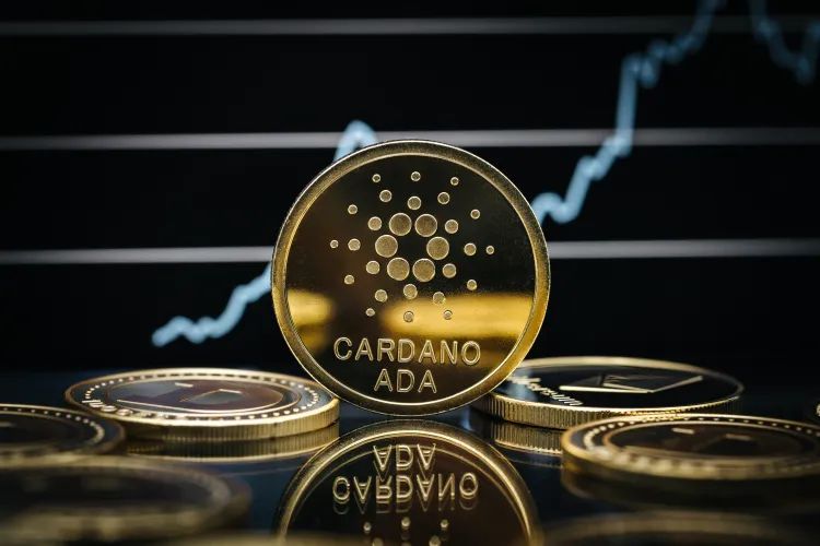 Cardano Price Could Be Heading To $0.10 — Crypto Founder Offers Insight