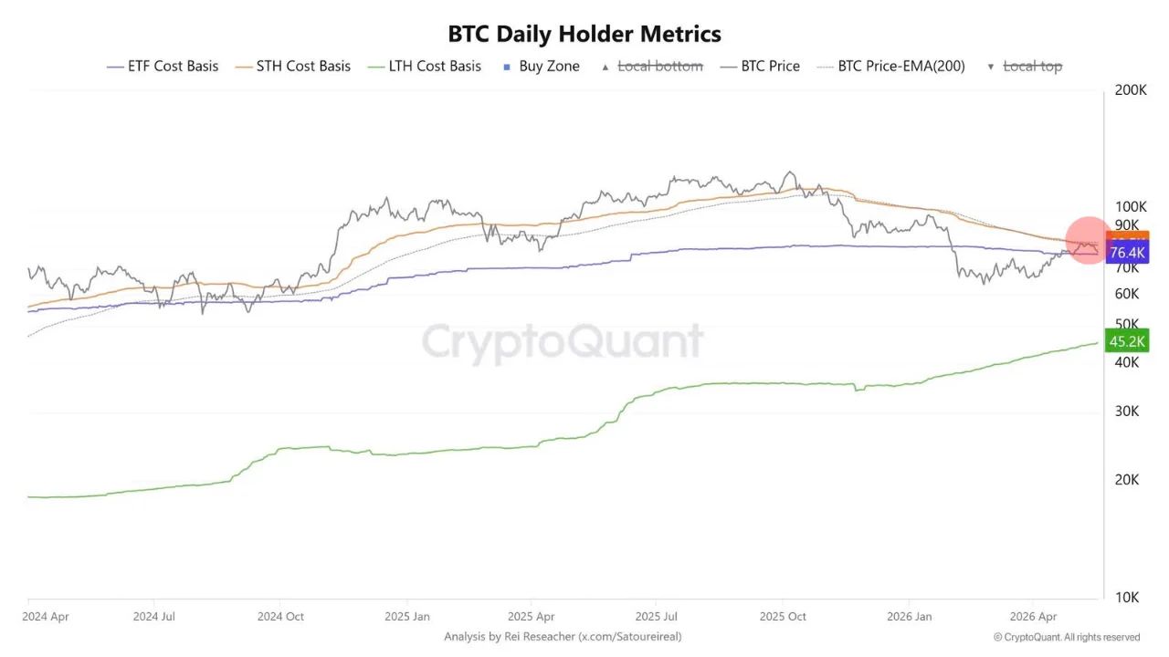 Bitcoin Daily Holder Metrics | Source: CryptoQuant