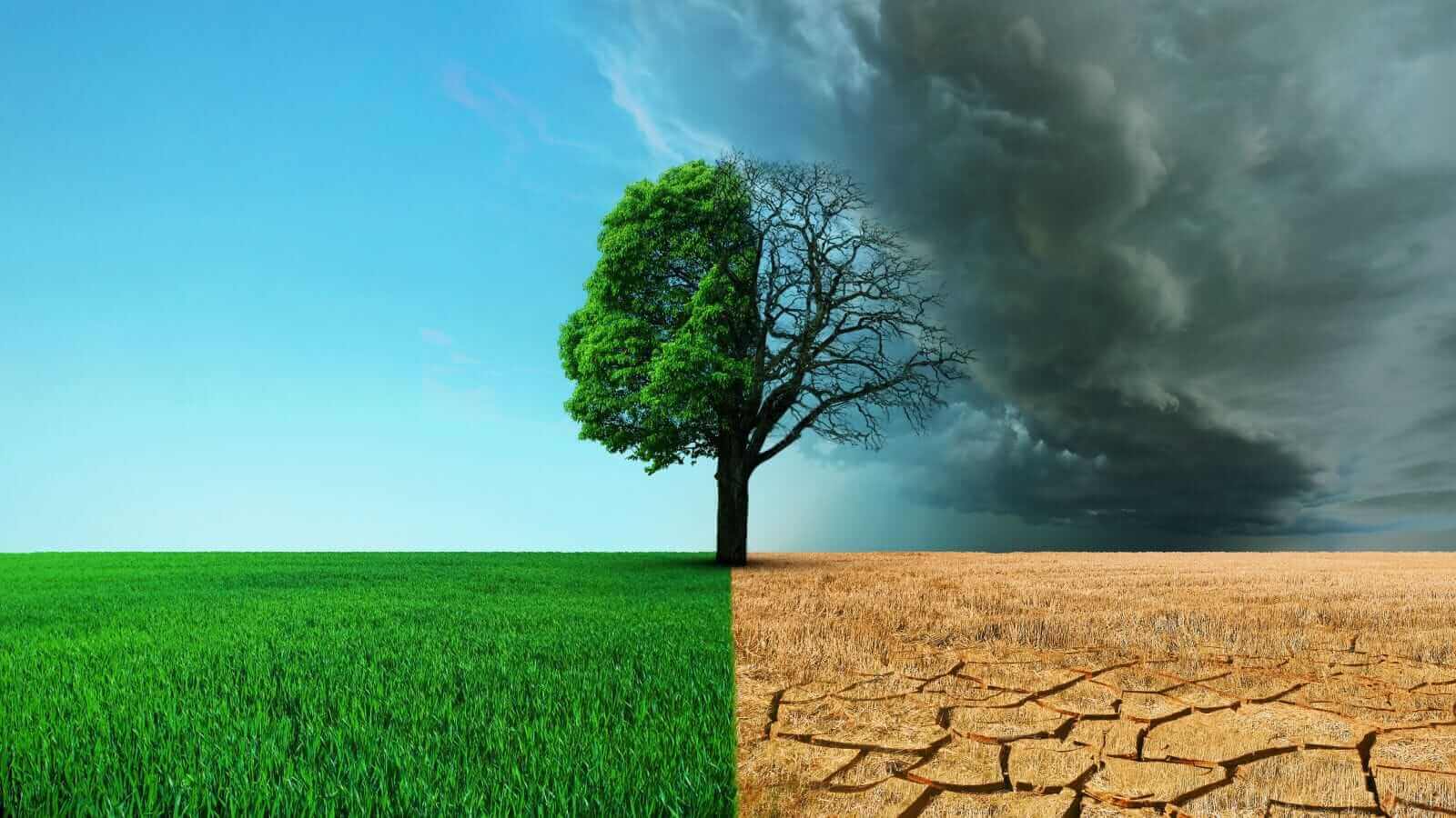 What Do We Know About Supply and Demand in the Grains Sector Friday Morning?