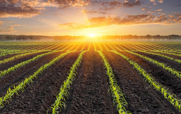 Corteva Set to Report Q2 Earnings: What Investors Should Expect
