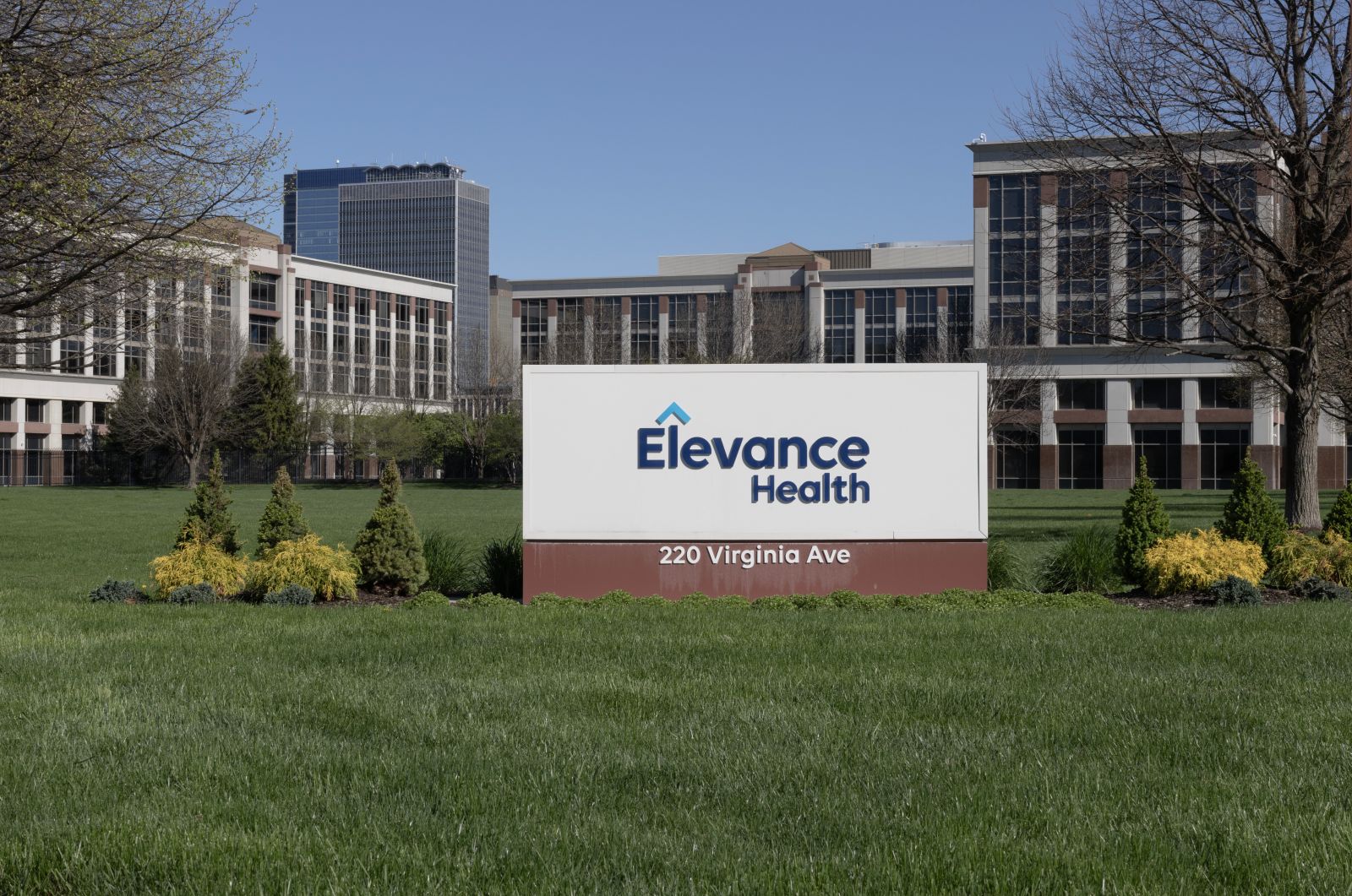Elevance Health Stock Outlook: Is Wall Street Bullish or Bearish?