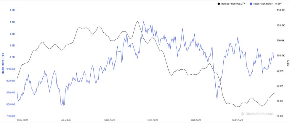 Bitcoin Hashrate