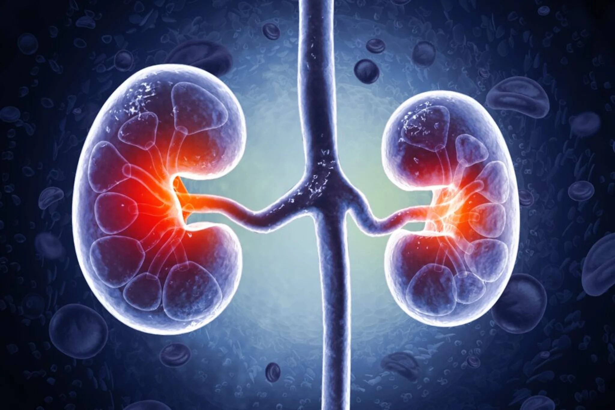 Nouveau médicament rénal de Vertex remporte un grand succès lors de l'essai clinique, le cours de l'action augmente | Benzinga France