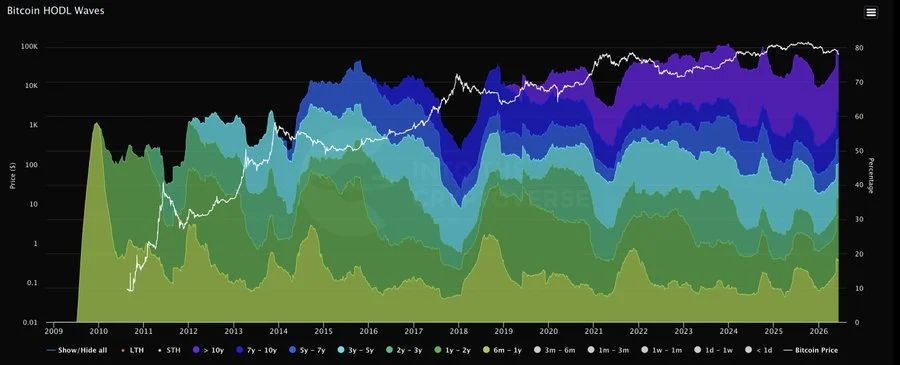 The chart highlights strong long-term holder conviction, reduced selling pressure, and key accumulation zones that may act as future support or resistance