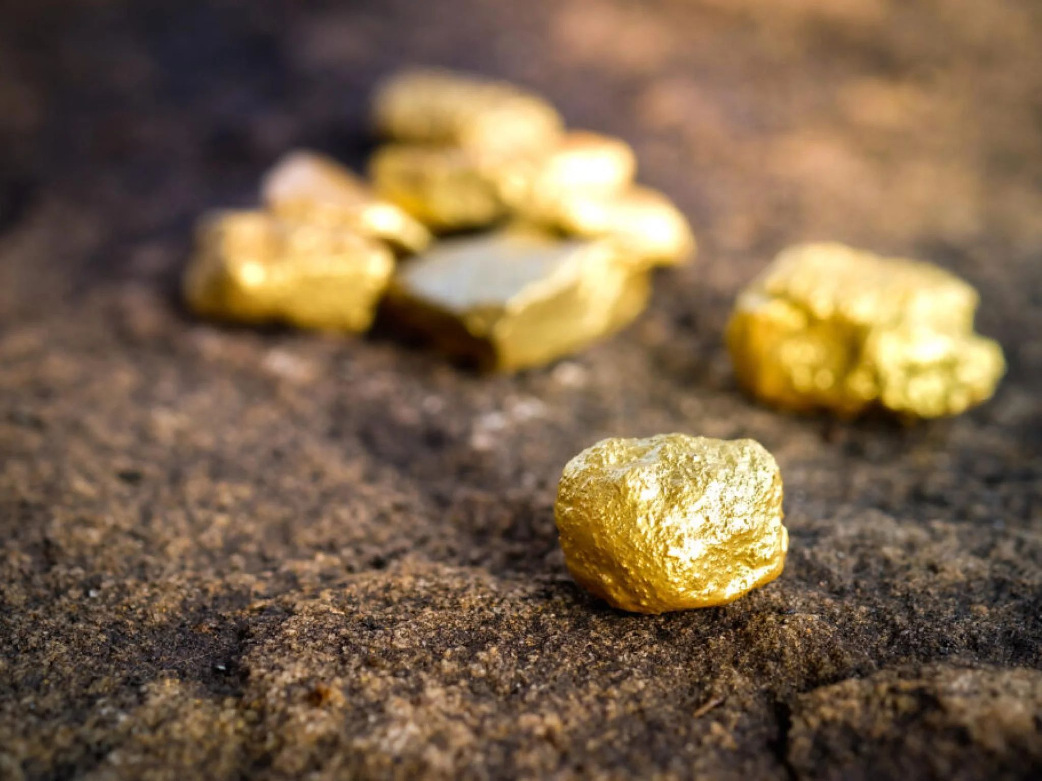 Paul Singer cible l'or et les biens de consommation avec de nouvelles options de vente - parie gros sur la technologie | Benzinga France