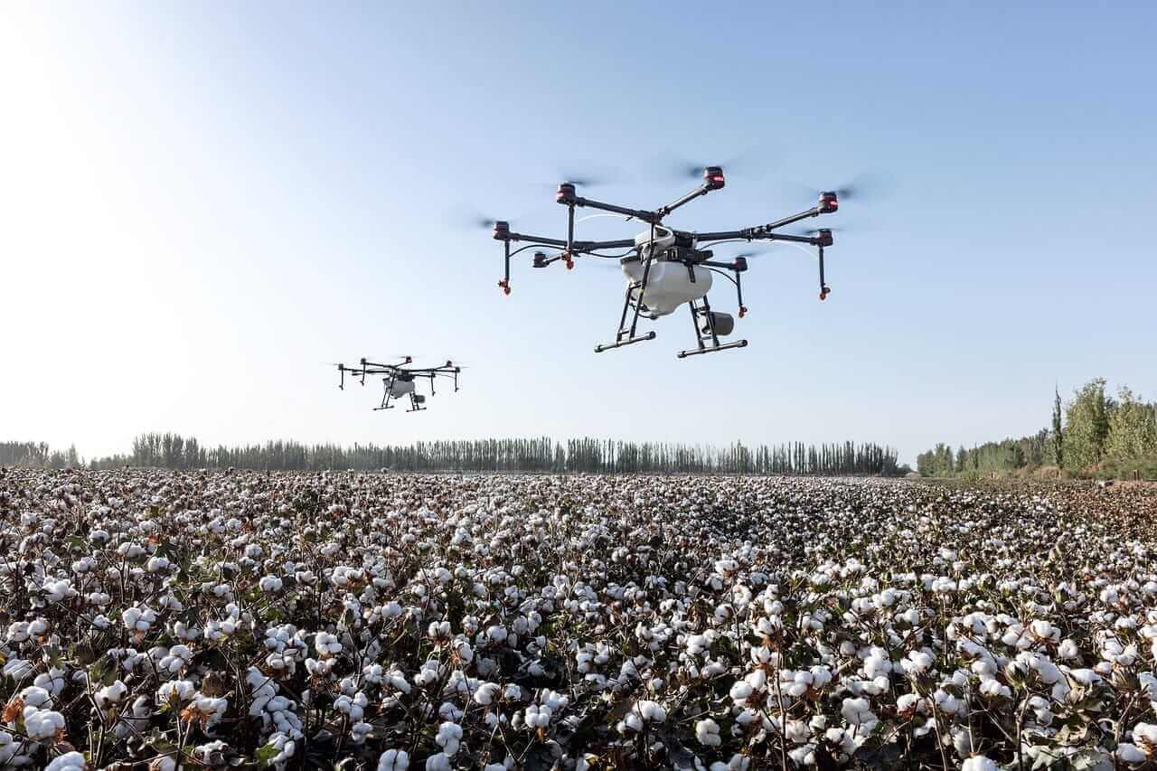 Cotton Rallying Triple Digits on Wednesday