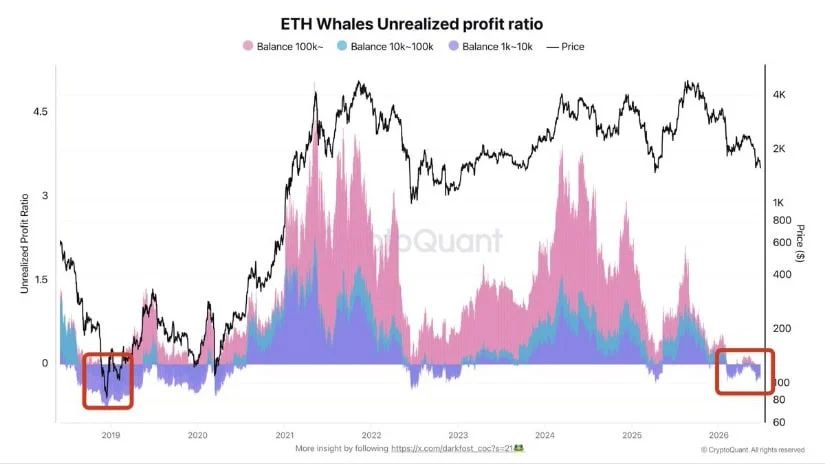 Whale Activity Shows Capitulation Conditions