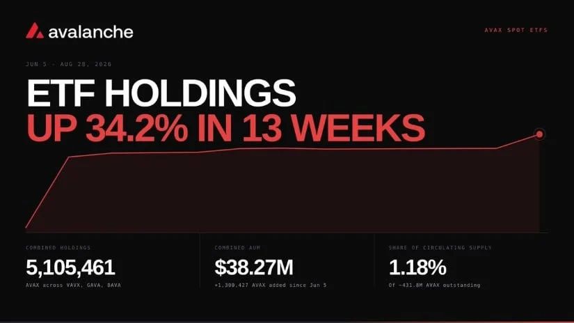 AVAX & ETF Momentum