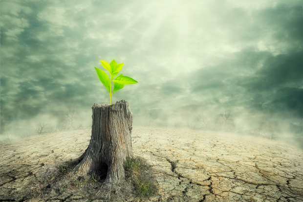 Best Growth Stocks to Buy for May 26th