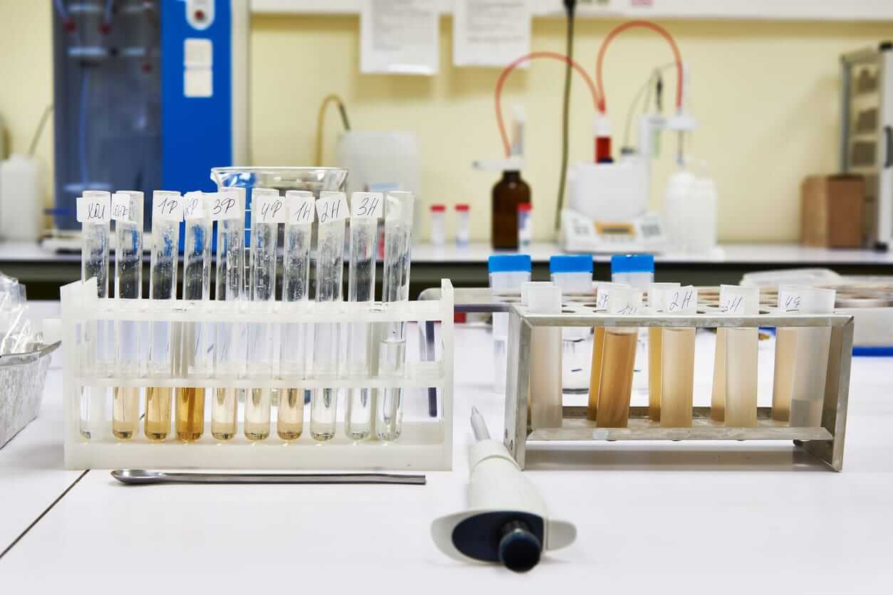 Earnings Preview: What to Expect From Labcorp Holdings' Report