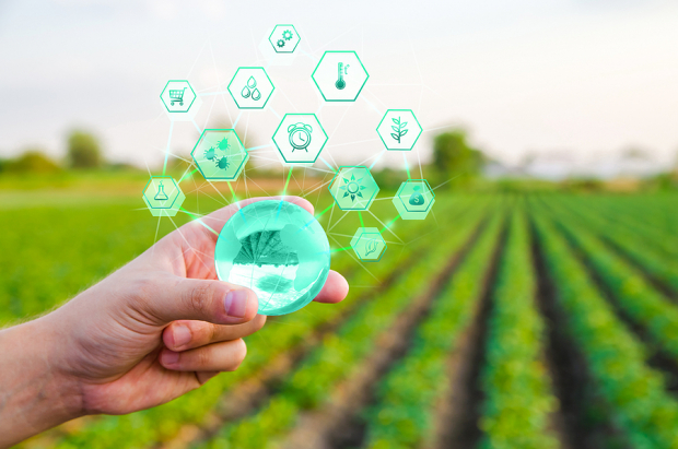 5 Agriculture Operations Stock Picks to Tap Long-Term Growth Trends