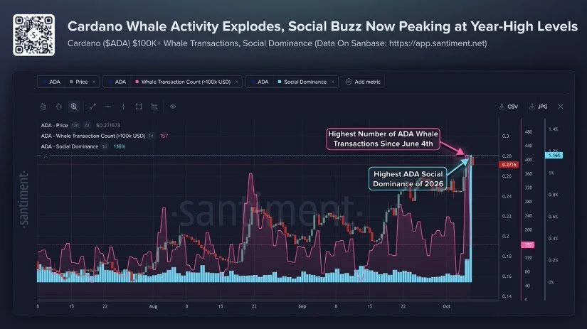 Cardano Whale Activity and Larger Wallet Holdings Build Around $0.25-$0.27
