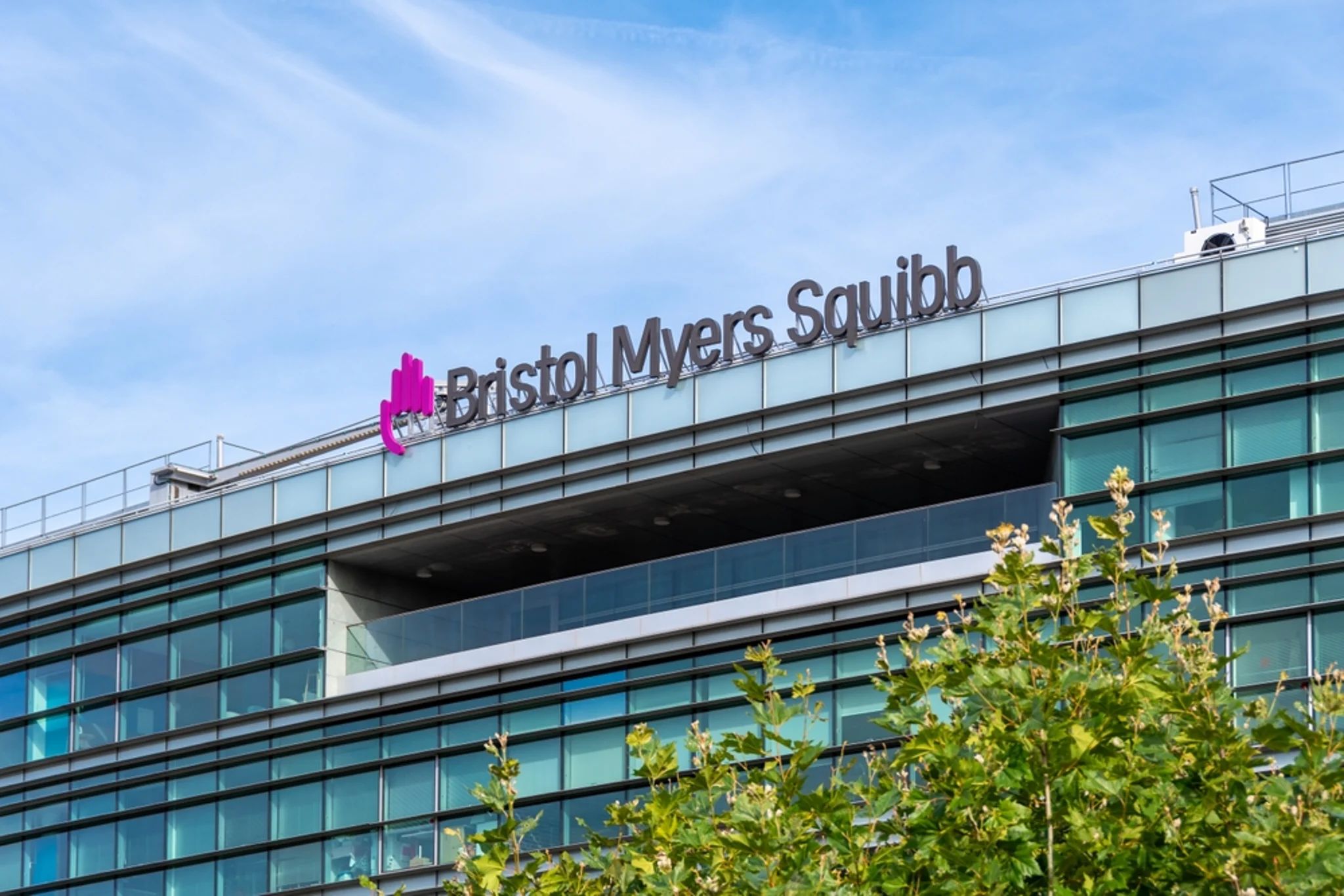 Accord Bristol-Myers Squibb-Anthropic AI cible une découverte de médicaments plus rapide | Benzinga France