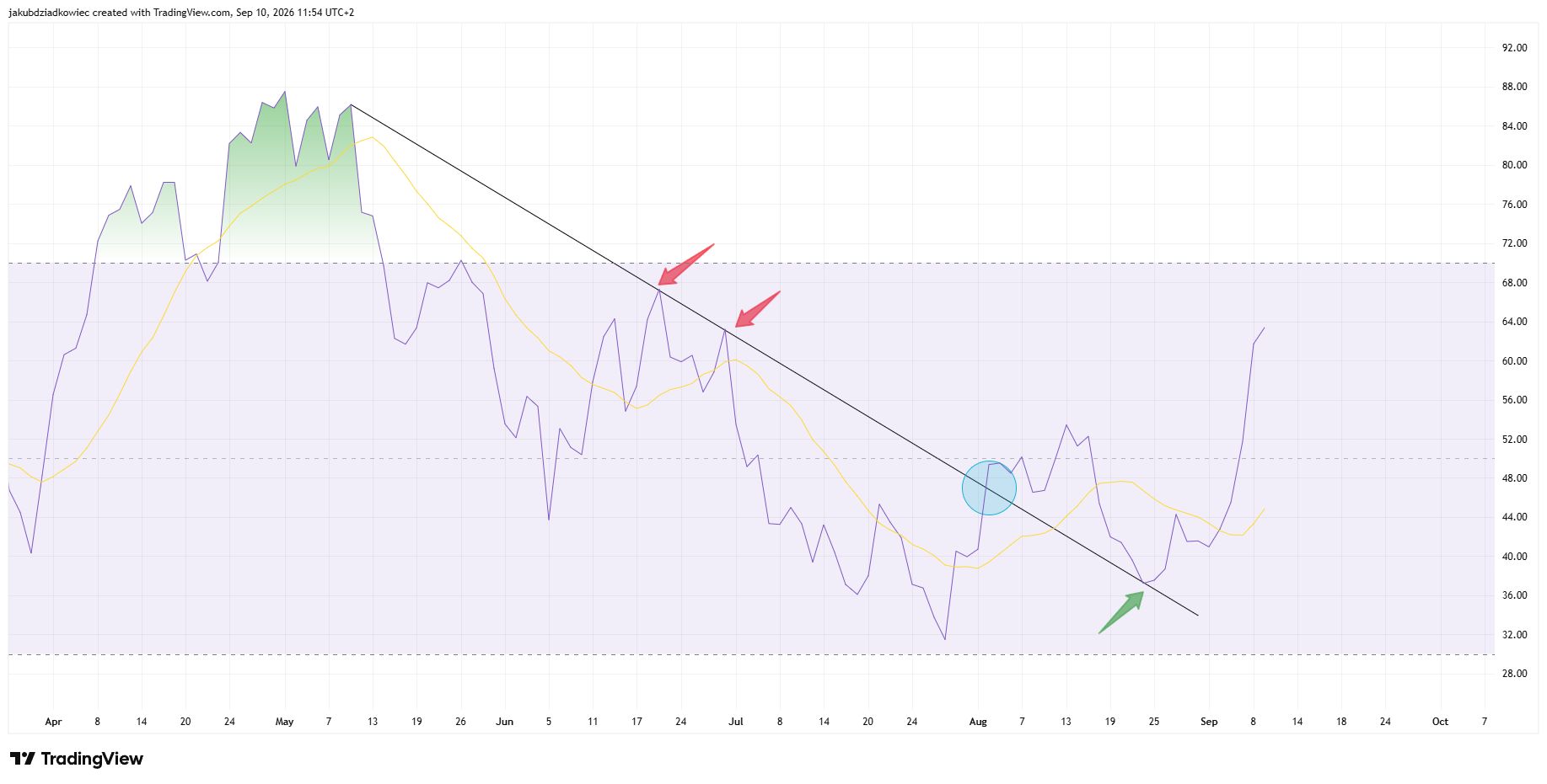 인텔 일간 RSI 차트