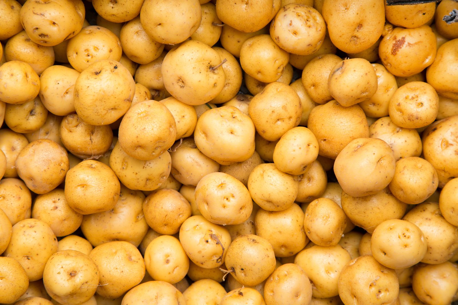 Up 700% and Now Down 90%, the Iran War Made Potato Prices More Volatile Than Penny Stocks