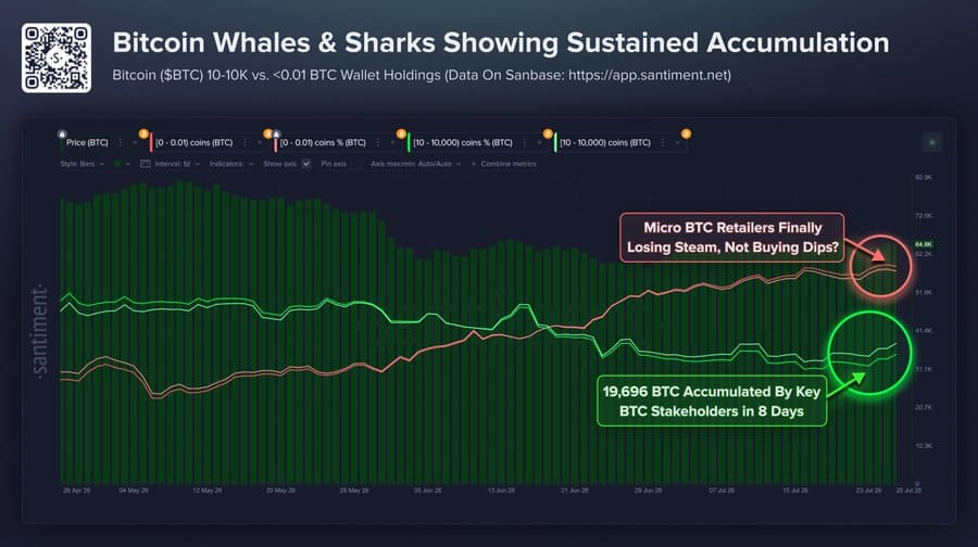 Mid-tier Bitcoin wallets holding 10–10,000 BTC accumulated 19,696 BTC over eight days