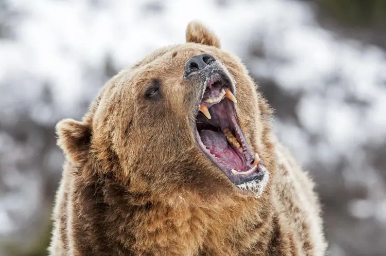 Bitcoin’s Fall To $78K Could Be A Bear Trap — Here’s Why