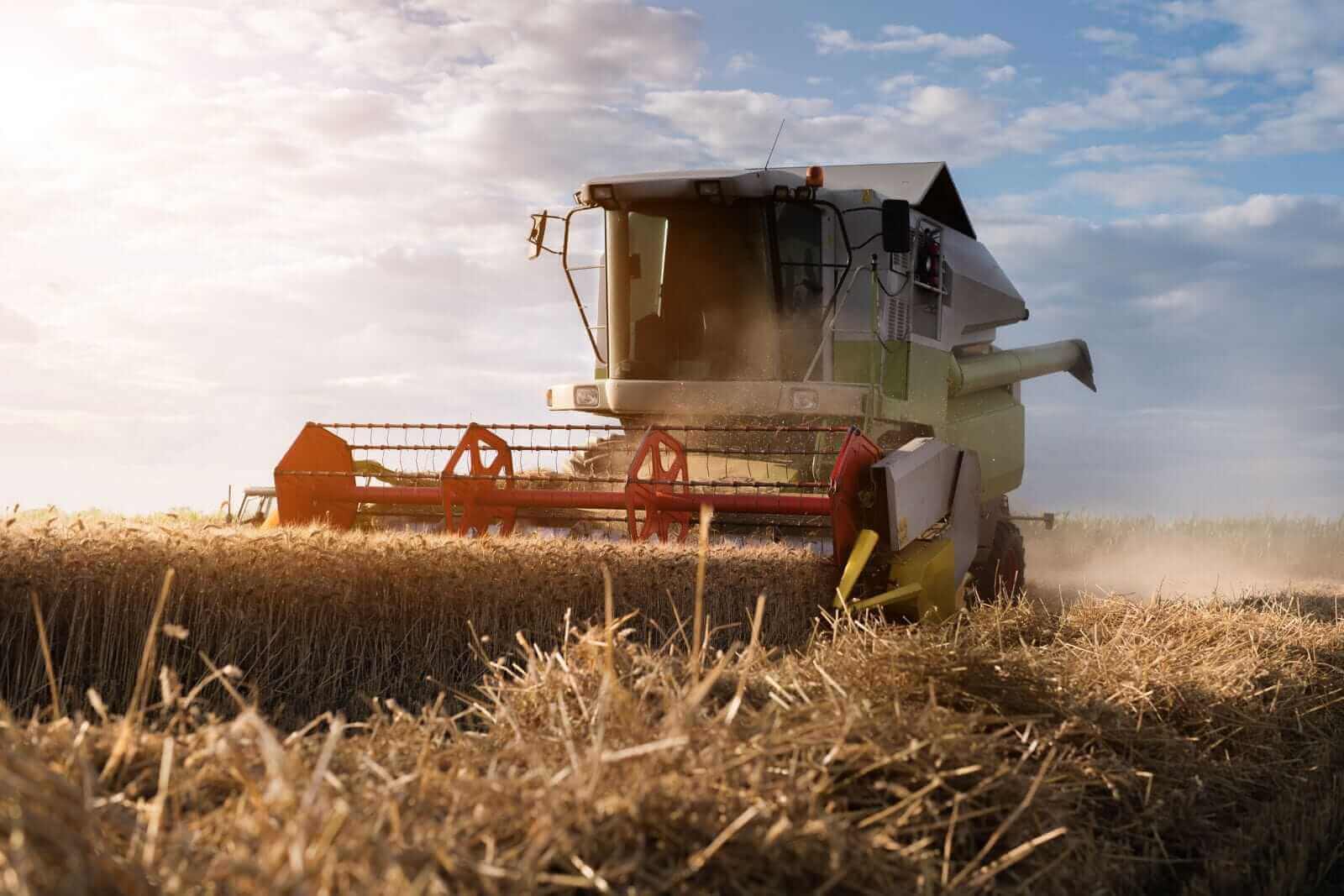 Wheat Rally Pushing Higher on US/China Fact Sheet Trade Numbers