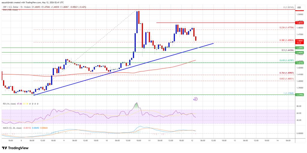 XRP Price 