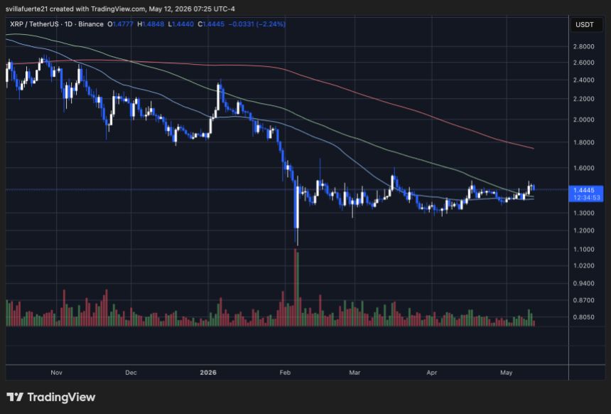XRP consolidates above the $1.4 level | Source: XRPUSDT chart on TradingView