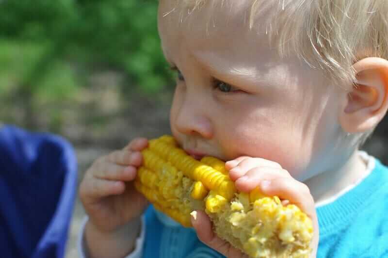 Corn Falling on Monday, Ignoring Crude Strength