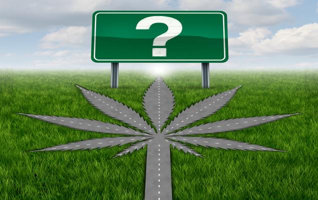 Should You Buy, Hold or Sell SNDL Stock Post Q4 Earnings Release?
