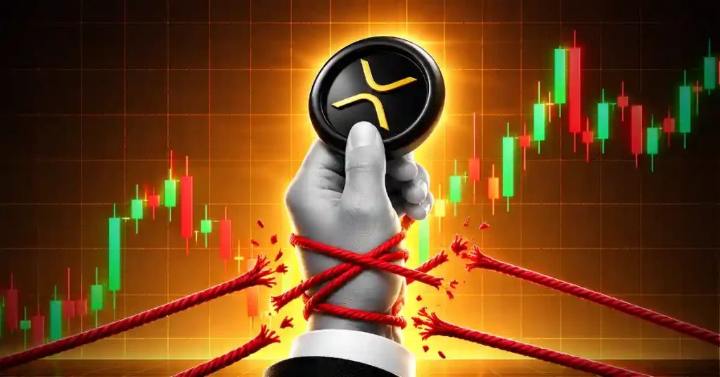 XRP Rich List October Reveals the XRP Holdings of Top Wallets