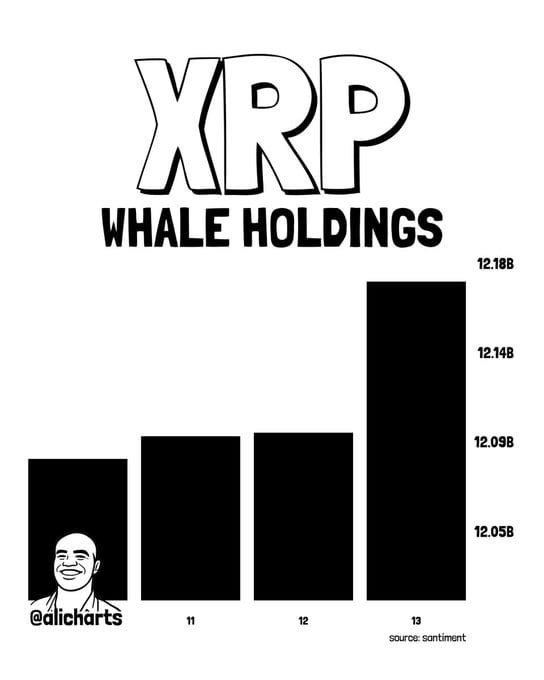 Santiment data shows whales accumulated more than 72 million XRP in 24 hours