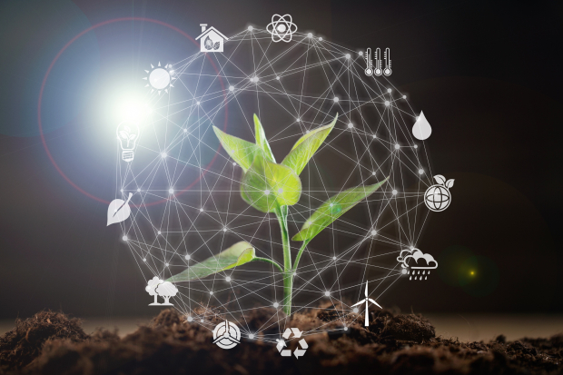 Are Green ETFs in the Crosshairs? Navigating the Rare Earth Supply Shock