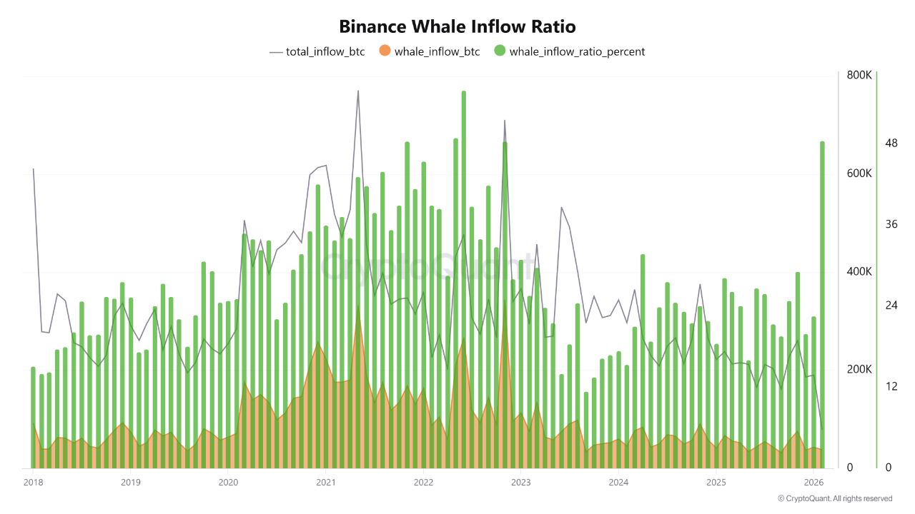 Binance Whale Inflow Ratio | Source: CryptoQuant