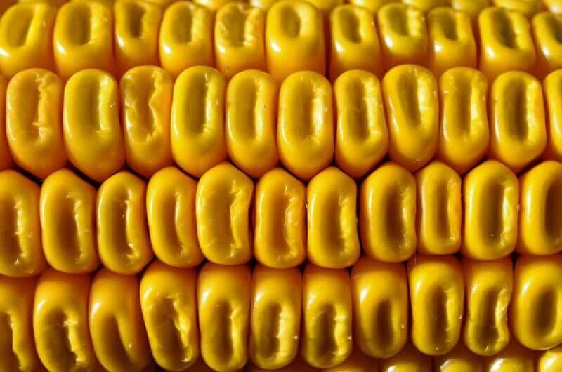 Grain and Cotton Bulls Are Eating ‘Humble Pie’ After Selloff, But They’re Still in Charge of Prices