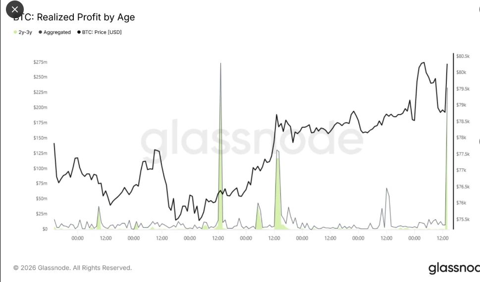 Bitcoin realized profit for 2-3 year holders