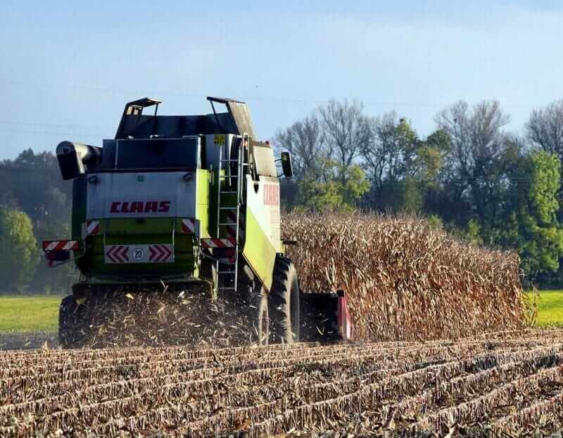 Corn Posting Gains to Round Out the Week