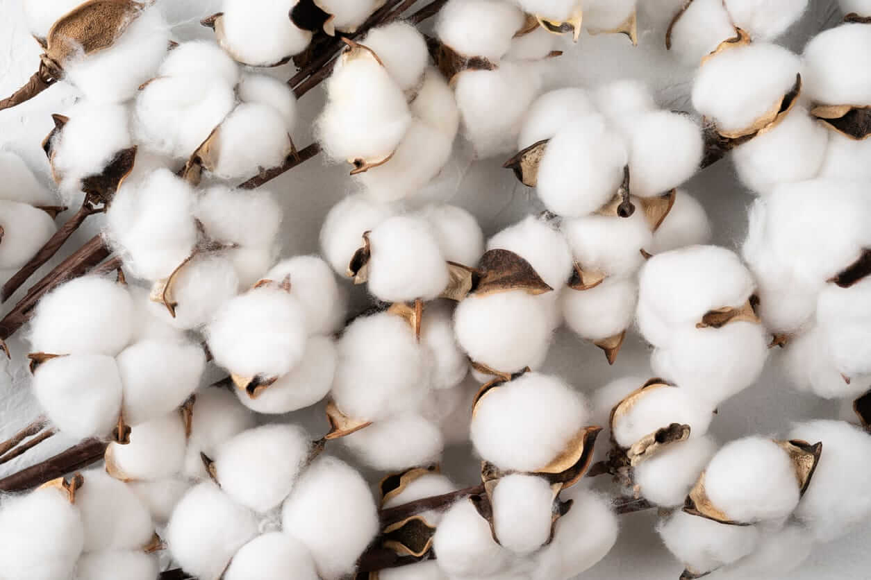 Cotton Slips Lower into the Wednesday Close with Outside Pressure