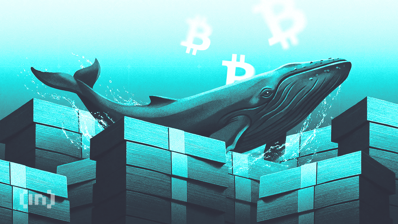 Киты скупают биткоины, хотя объемы торгов на биржах рухнули на 50%