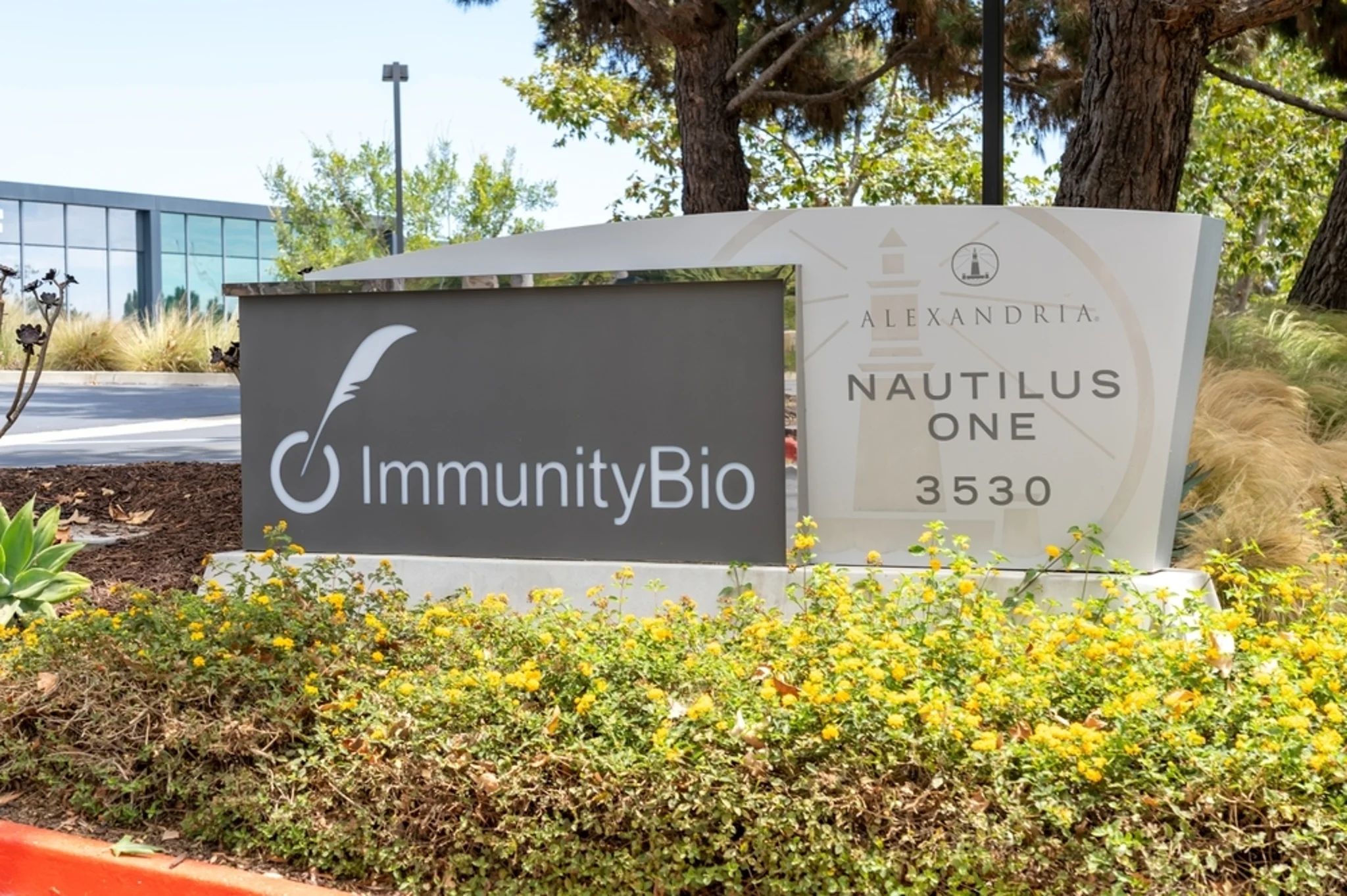 Pourquoi l'action d'ImmunityBio augmente-t-elle mardi ? | Benzinga France