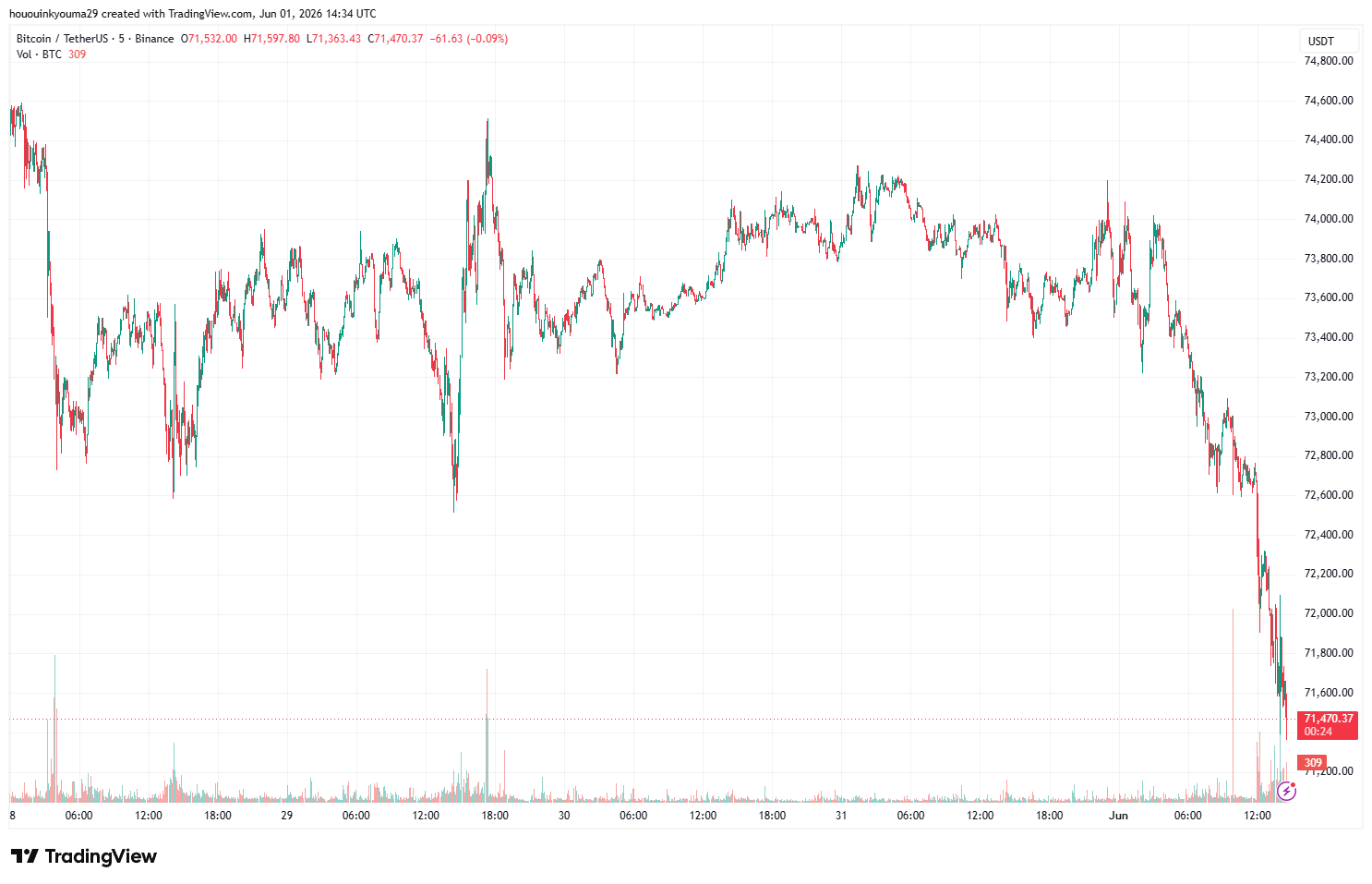 Bitcoin Price Chart