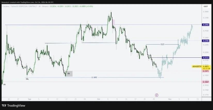 Cardano Approaches $0.197-$0.213 Support Zone