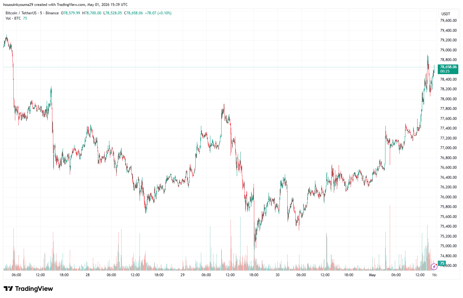 Bitcoin Price Chart
