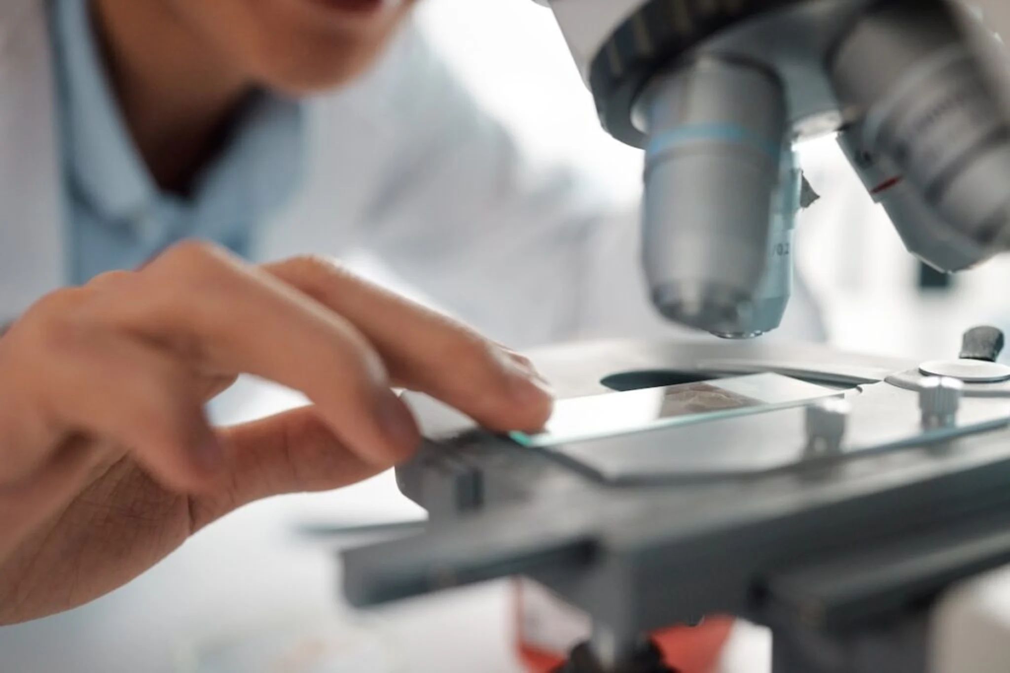 La valeur boursière de Tiziana Life Sciences augmente grâce à des résultats précliniques positifs qui alimentent l'élan | Benzinga France