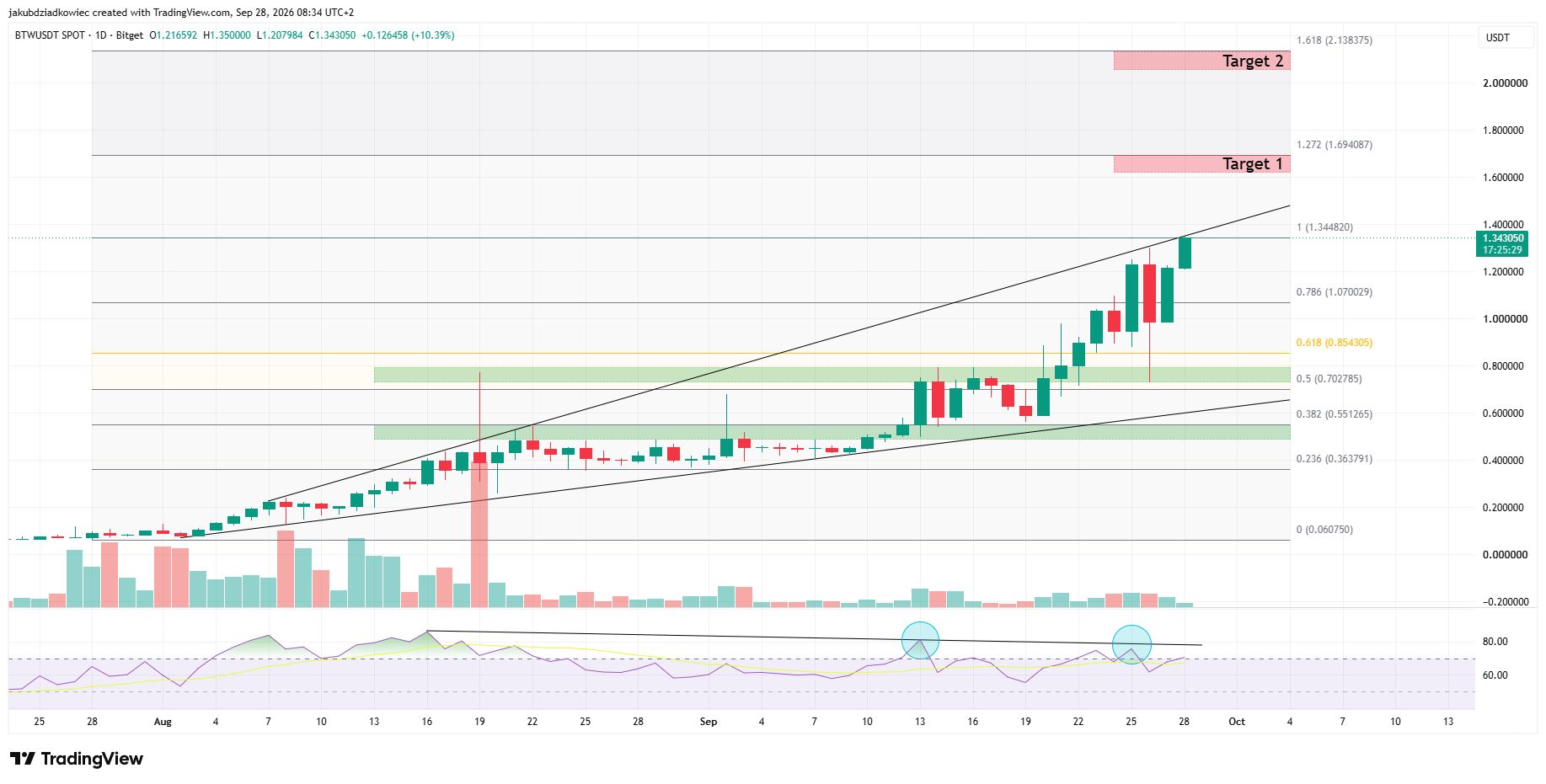 Gráfico diário da BTW / Fonte: Tradingview